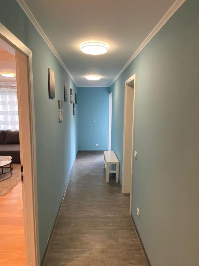 Eliz Appartements リングスハイム エクステリア 写真